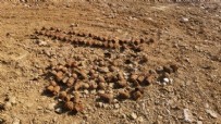 Balıkesir'de gömülü bulunan yüzlerce bombanın sırrı araştırılıyor