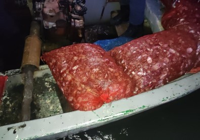 Sahil Güvenlik Ekipleri, Denize Dalarak Midye Avciligi Yapanlari Suçüstü Yakaladi