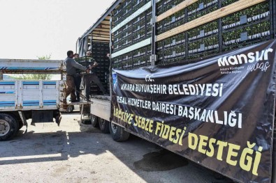 Ankara Büyüksehir'den Üreticilere Sebze Fidesi Destegi