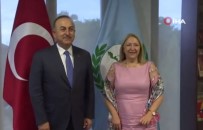 Disisleri Bakani Çavusoglu, Parlatino Baskani Giacoppo Ile Görüstü