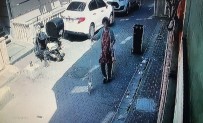 Istanbul'da Korku Dolu Pitbull Saldirisi Kamerada Açiklamasi Köpegini Parka Götüren Kadin Dehseti Yasadi