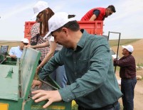 Kadin Çiftçiler Çölyak Hastalarina Umut Oluyor