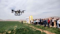 SÜ Ziraat Fakültesi Çiftliginde Drone Ile Ilaçlama Yapildi Haberi