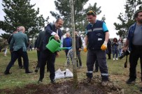 Basiskele'de 1000 Agaç Fidani Toprakla Bulustu