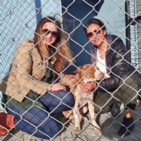 ÇANAKKALE - CHP'li belediyenin barınağında köpekler birbirini yedi! Doğa Koruma, kalan köpekleri korumaya aldı