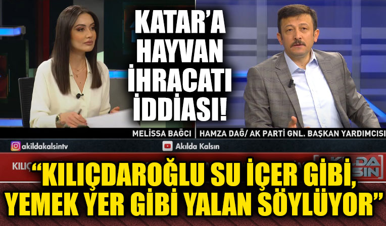 Hamza Dağ: Kılıçdaroğlu su içer gibi, yemek yer gibi yalan söylüyor
