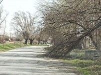 Siddetli Rüzgar Afyonkarahisar'da Hayati Olumsuz Etkiledi