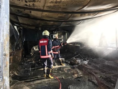 Çiftlikte Çikan Yanginda Yüzlerce Hayvan Telef Oldu