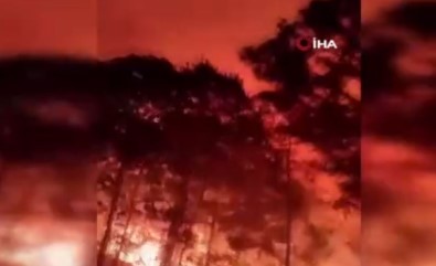 Meksika'da Orman Yangini Açiklamasi 50 Hektar Alan Küle Döndü