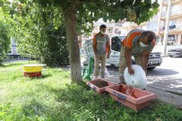 Buca Belediyesi 3 Yilda 28 Bin Sokak Hayvanina Hizmet Verdi