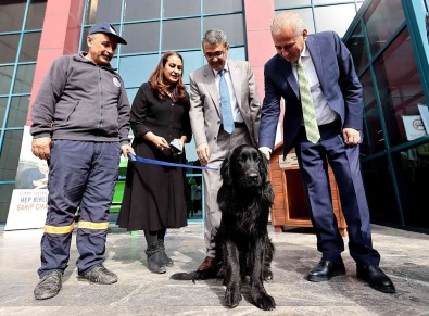 Can Dostlar Için Anlamli Protokol