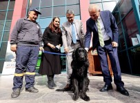 Can Dostlar Için Anlamli Protokol