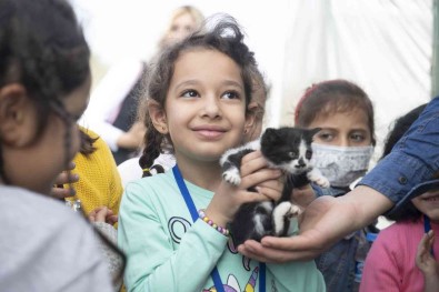 Gönüllüler Sokak Hayvanlarini Besledi