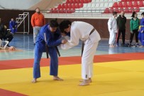 Judoda Analig Heyecani Sona Erdi