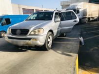 Sarp Sinir Kapisi'nda Bin 100 Adet Su Kaplumbagasi Ele Geçirildi