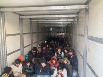 Bitlis'te Tir Içerisinde 129 Göçmen Yakalandi Haberi