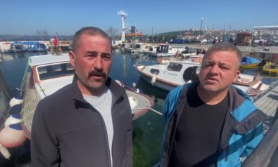 Çanakkale Bogazi'nda Yaklasik 300 Kilogram Agirliginda Köpek Baligi Yakaladilar