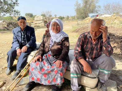 Kurtlar 25 Koyunu Telef Etti, 3 Ailenin Geçim Kaynagi Yok Oldu