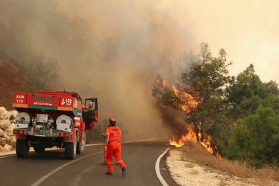 PKK'nın orman yangını çıkarma talimatını itiraf etti: 10 bin liraya doğa katliamı! 'Otobana çıkın yaka yaka gidin'