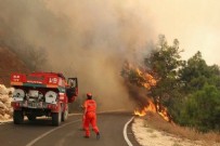PKK'nın orman yangını çıkarma talimatını itiraf etti: 10 bin liraya doğa katliamı! 'Otobana çıkın yaka yaka gidin'