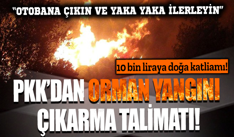 PKK'nın orman yangını çıkarma talimatını itiraf etti: 10 bin liraya doğa katliamı! 'Otobana çıkın yaka yaka gidin'