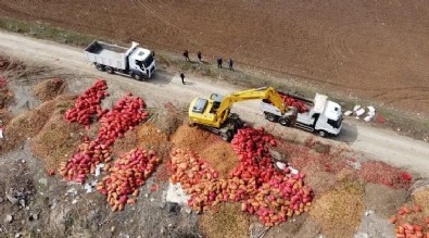 Hasat gecikince fırsatçılar yine sahneye çıktı! Soğan ve patateste aynı oyun sahnede!