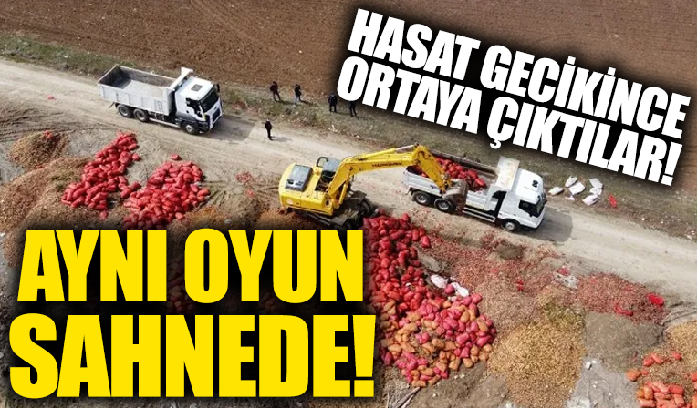 Hasat gecikince fırsatçılar yine sahneye çıktı! Soğan ve patateste aynı oyun sahnede!
