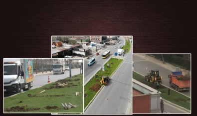 CHP'li İBB ekipleri gündüz vakti onlarca ağaç söktü! Vatandaşlardan tepki: Hesap versinler