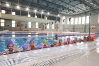 Derince'de Çocuklar Yüzme Ögreniyor Haberi
