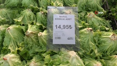 Marul Serada 8 Lira, Markette 15 Lira