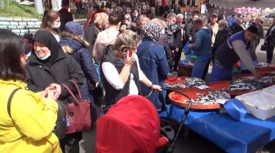 Mayinlara Inat Hamsi Ve Istavritin Kilosu 25 Liraya Düstü