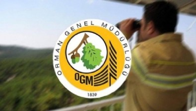 Orman Genel Müdürlüğü İşçi Alımı Ne Zaman? OGM İşçi Alımı Başvuru Şartları Neler?