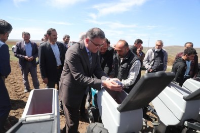 Tokat'ta, 700 Çiftçiye Yüzde 50 Hibeli Ayçiçegi Tohumu Dagitildi