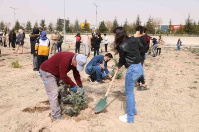 Üniversitede 500 Fidan Toprakla Bulustu