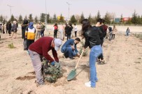 Üniversitede 500 Fidan Toprakla Bulustu