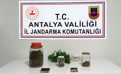Yasadisi Kenevir Üretimine Jandarma Baskini Açiklamasi 1 Gözalti