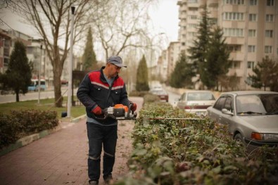 Yürüyüs Yoluna Bakim