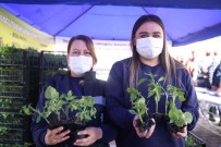 Büyüksehir Belediyesi Ata Tohumlari'na Sahip Çikiyor