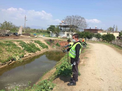 Nazilli'de Vektörle Mücadele Çalismalari Devam Ediyor
