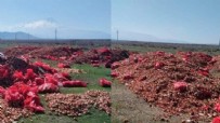 Aksaray'da 40 ton kuru soğan boş arazilere döküldü: Soruşturma başlatıldı