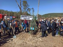 Basin Toplantisi Sonrasi Hatira Ormani Olusturuldu