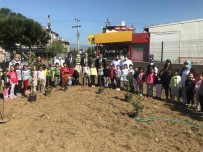 Burhaniye' De Kaymakam Memis, Anaokulu Ögrencileri Ile Fidan Dikti