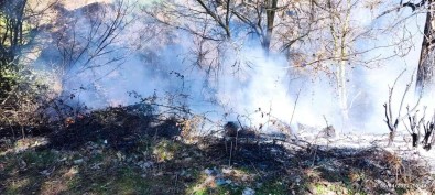 Çanakkale'de Çöplük Yangini Ormana Siçramadan Söndürüldü