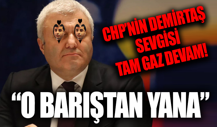 CHP'li Tuncay Özkan: Selahattin Demirtaş barıştan yana
