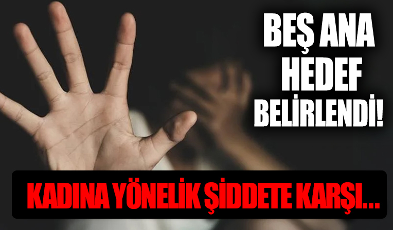 Kadına yönelik şiddete karşı yeni plan: 5 ana hedef belirlendi