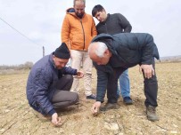 Kütahya'da 'Durusa' Cinsi Bugday Sahasinda Kontroller Yapildi