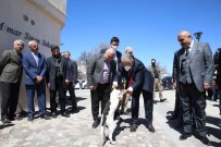 Mimar Sinan Dogdugu Topraklarda Anildi