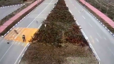 Van'da Korku Dolu Anlar Açiklamasi 7 Köpek Kiz Ögrenciye Saldirdi