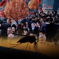 Yeni kabusun adı: Zika