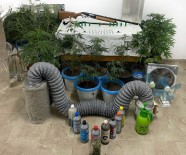 Ayvalik'ta Uyusturucu Operasyonu